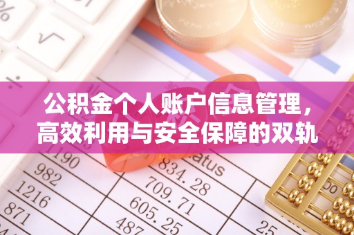 平湖公积金个人账户信息管理，高效利用与安全保障的双轨并行