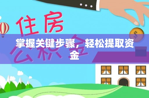 平湖掌握关键步骤，轻松提取资金