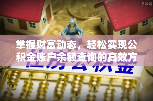 平湖掌握财富动态，轻松实现公积金账户余额查询的高效方法