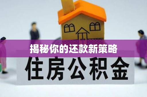 平湖揭秘你的还款新策略