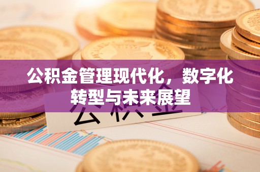 平湖公积金管理现代化，数字化转型与未来展望