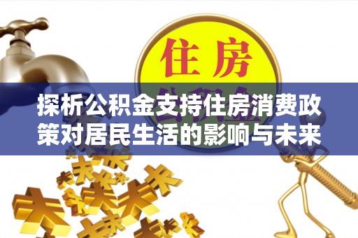 平湖探析公积金支持住房消费政策对居民生活的影响与未来展望