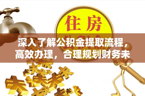平湖深入了解公积金提取流程，高效办理，合理规划财务未来