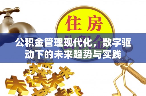 平湖公积金管理现代化，数字驱动下的未来趋势与实践