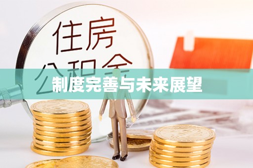 平湖制度完善与未来展望