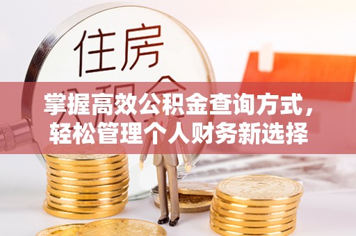 平湖掌握高效公积金查询方式，轻松管理个人财务新选择