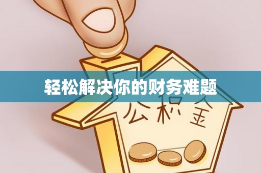 平湖轻松解决你的财务难题