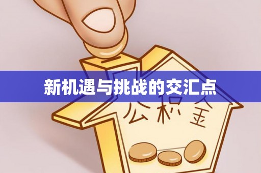 平湖新机遇与挑战的交汇点