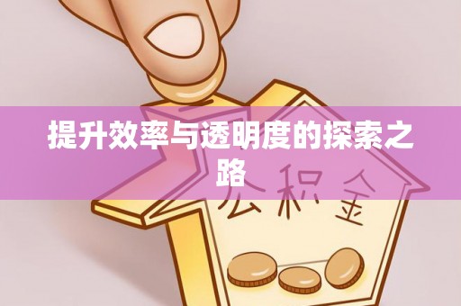 平湖提升效率与透明度的探索之路