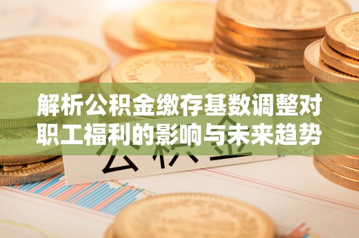 平湖解析公积金缴存基数调整对职工福利的影响与未来趋势
