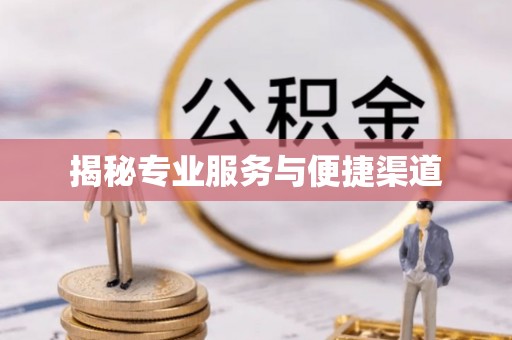 平湖揭秘专业服务与便捷渠道