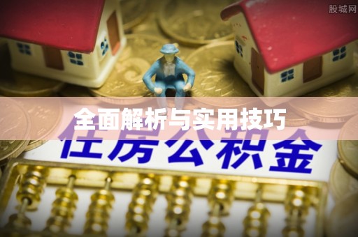平湖全面解析与实用技巧