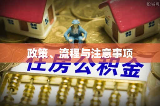 平湖政策、流程与注意事项
