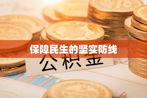 平湖保障民生的坚实防线