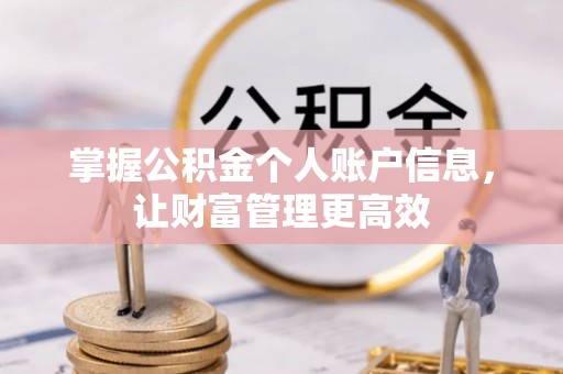 平湖掌握公积金个人账户信息，让财富管理更高效
