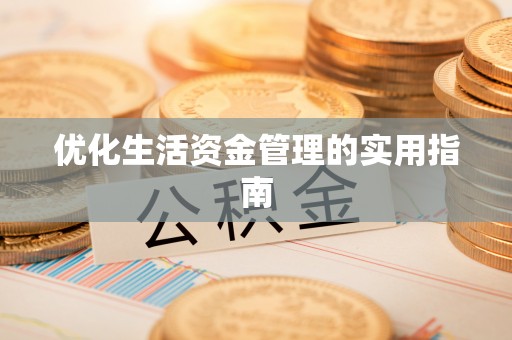 平湖优化生活资金管理的实用指南