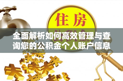 平湖全面解析如何高效管理与查询您的公积金个人账户信息