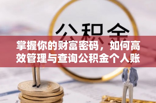 平湖掌握你的财富密码，如何高效管理与查询公积金个人账户信息