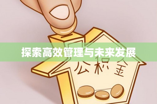 平湖探索高效管理与未来发展
