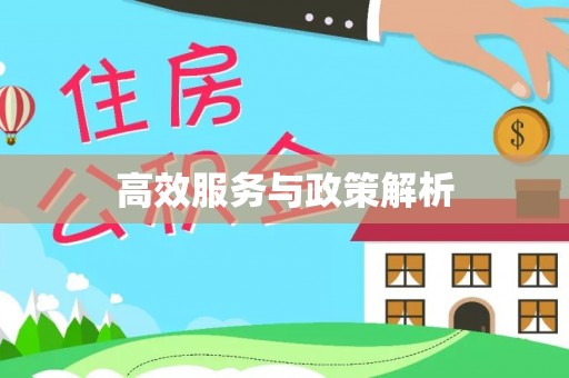 平湖高效服务与政策解析