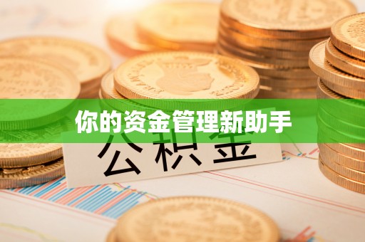 平湖你的资金管理新助手
