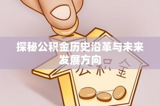平湖探秘公积金历史沿革与未来发展方向