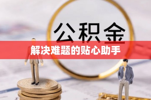 平湖解决难题的贴心助手