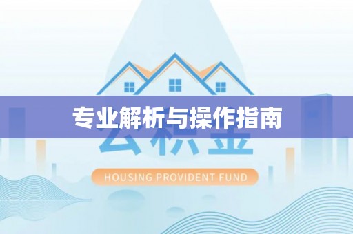 平湖专业解析与操作指南