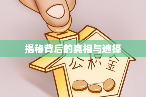 平湖揭秘背后的真相与选择