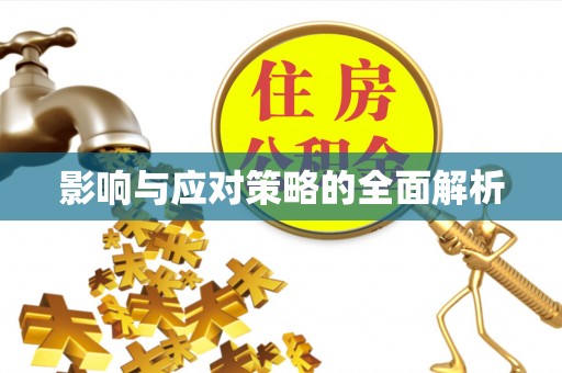 平湖影响与应对策略的全面解析