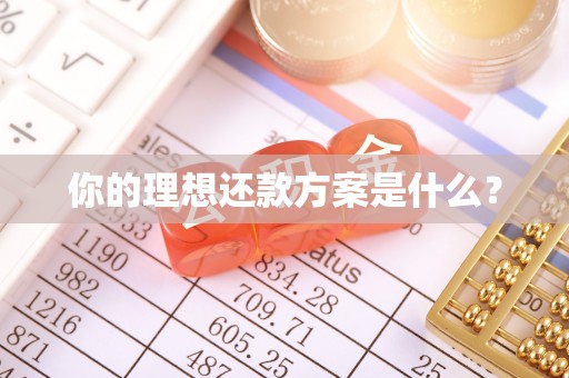 平湖你的理想还款方案是什么？
