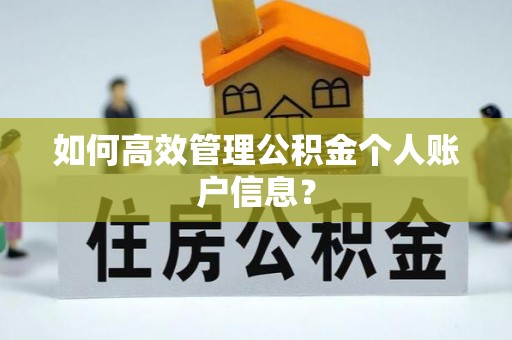平湖如何高效管理公积金个人账户信息？