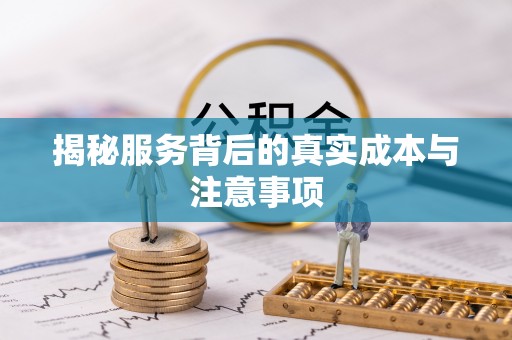 平湖揭秘服务背后的真实成本与注意事项