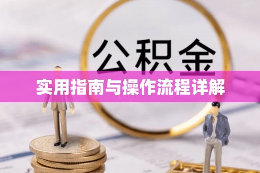 平湖实用指南与操作流程详解