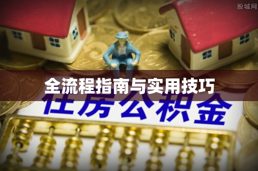 平湖全流程指南与实用技巧