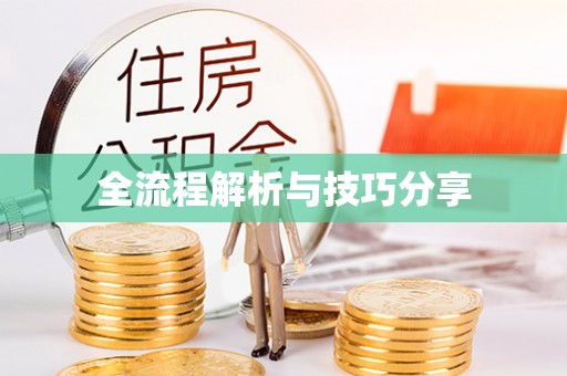 平湖全流程解析与技巧分享