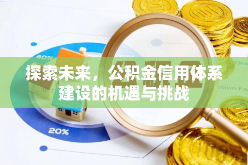 平湖探索未来，公积金信用体系建设的机遇与挑战