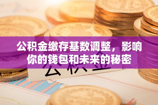 平湖公积金缴存基数调整，影响你的钱包和未来的秘密