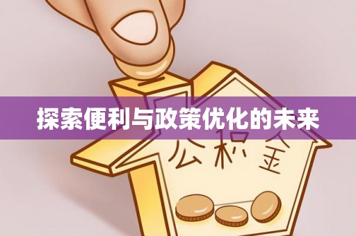 平湖探索便利与政策优化的未来