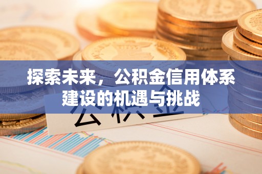平湖探索未来，公积金信用体系建设的机遇与挑战