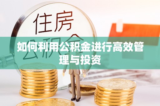 平湖如何利用公积金进行高效管理与投资
