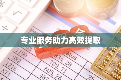 平湖专业服务助力高效提取