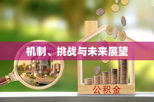 平湖机制、挑战与未来展望