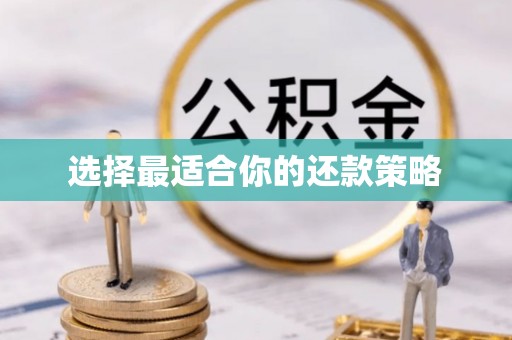 平湖选择最适合你的还款策略
