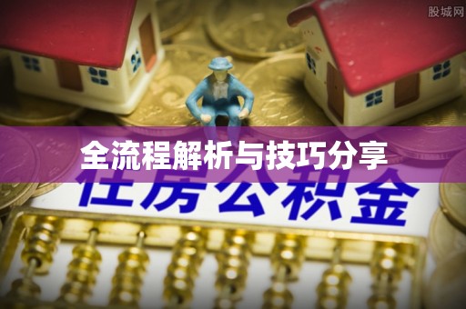 平湖全流程解析与技巧分享
