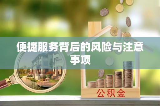 平湖便捷服务背后的风险与注意事项